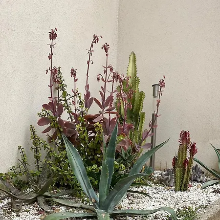 Evasion Mediterraneenne, Room, Bain Nordique Διαμέρισμα *